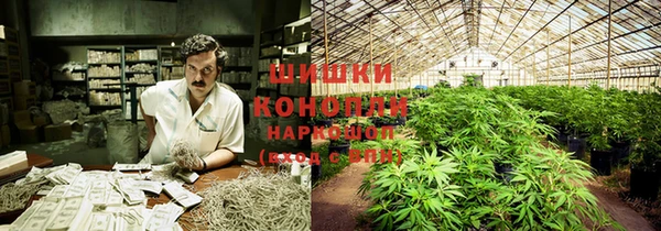 скорость Гусев