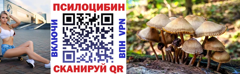 Псилоцибиновые грибы мицелий Зверево